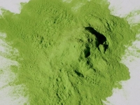 PurColour Green Celebration Powder | Color, Powder, Holi