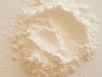 PurColour White Celebration Powder | Color, Powder, Holi