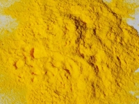 PurColour Yellow Celebration Powder | Color, Powder, Holi
