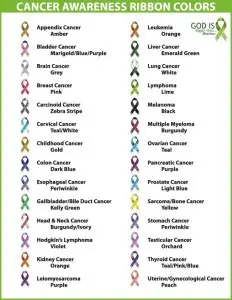 What each color represents